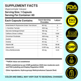 Weight Loss Support Capsules | Pack of 30