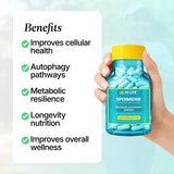 Spermidine Capsules | Pack of 30